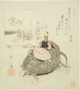 Sea turtles and Urashima Taro بواسطة توتو هوكي