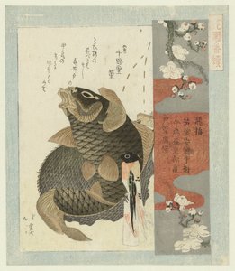 البرقوق الطائر Tobiume (العنوان على الكائن) مسلسل لجمعية شعراء الهنازونو (عنوان المسلسل) Hanazono bantsuzuki (عنوان المسلسل على الكائن) بواسطة توتو هوكي
