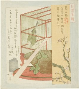الدخلة في قفص ، من مسلسل "A Series for the Hanazono Group (Hanazono bantsuzuki)" بواسطة توتو هوكي