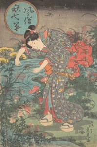 نباتات الخريف السبعة العصرية فوزوكو أكي ناناكوسا ، النصف الأول ... ، النصف الأول من القرن التاسع عشر. بواسطة تويوهارا ساداتورا