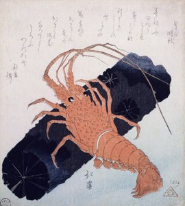 Langoustine مع كتلة من الفحم ، c.1830 (طباعة كتلة خشبية ملونة) بواسطة تويوتا هوكي