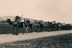 قطار الجمل المتجه إلى دمشق عام 1936 بواسطة غير معروف