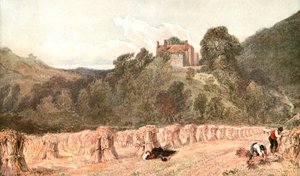 A Cornfield، c1840s، c1900. بواسطة غير معروف