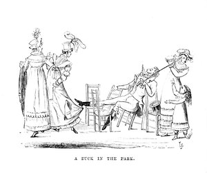 بطة في الحديقة ، c1870 بواسطة غير معروف