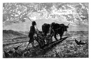 مزارع فرنسي ، c1890 بواسطة غير معروف