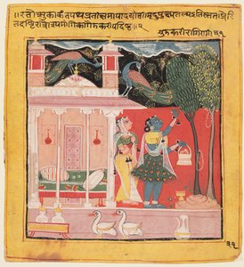 سيدة نتف الزهور مع الطاووس ، Gunakali Ragini من Malkos ، من Chawand Ragamala ، 1605. بواسطة غير معروف