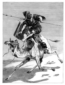 محارب مغربي ، c1890 بواسطة غير معروف