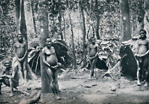 قرية الأقزام ، حوض شمال شرق الكونغو ، 1912 بواسطة غير معروف