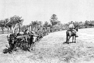 قافلة عربات ، أمريكا الجنوبية ، 1895 بواسطة غير معروف