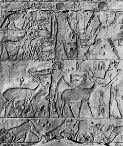 مشهد صيد من مقبرة بتحوتب ، بالقرب من سقارة ، مصر ، c2650 قبل الميلاد 1936 بواسطة غير معروف