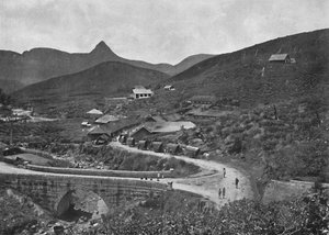 آدمسبيك وبراونلو لزراعة الشاي ، 1926 بواسطة غير معروف