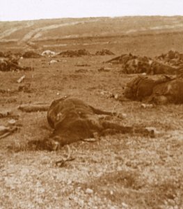 بعد التهمة ، بوسيجور ، شمال فرنسا ، c1914-c1918 بواسطة غير معروف