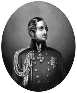 ألبرت 1819-1861 ، أمير الأمير الملكة فيكتوريا ، 1851 بواسطة غير معروف