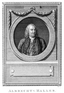 ألبريشت فون هالر ، طبيب وعالم سويسري ، c1770 c1780 بواسطة غير معروف