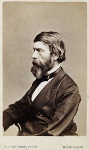 Alexander William Williamson, Scottish chemist, c 1865 بواسطة غير معروف