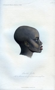Amochi Galla ، صورة لجالا ، 1848 بواسطة غير معروف