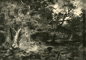 غابة ألمانية قديمة ، 1890. بواسطة غير معروف