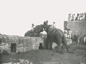 معركة الفيل ، حيدر أباد ، الهند ، 1895. بواسطة غير معروف