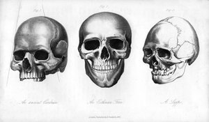 Cimbrian القديمة ، Esthonian Finn ، Lappe ، 1848 بواسطة غير معروف