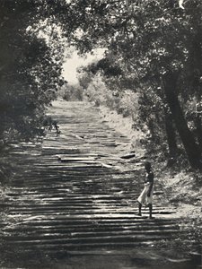 بداية السلالم الحجرية Mihintale ، 1926 بواسطة غير معروف