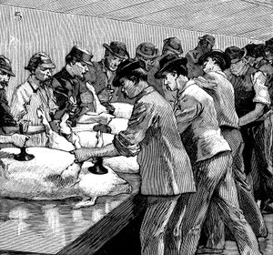 مسلخ شركة أرمور للخنازير ، شيكاغو ، إلينوي ، الولايات المتحدة الأمريكية ، 1892 بواسطة غير معروف