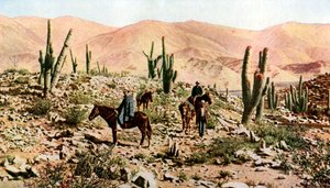 صحراء أتاكاما ، شمال شيلي ، أمريكا الجنوبية ، c1923 بواسطة غير معروف