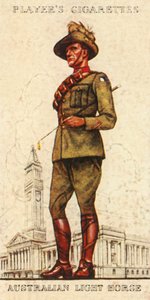 حصان خفيف أسترالي ، 1936. بواسطة غير معروف