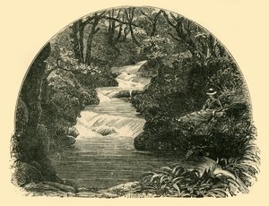 باغورثي ووتر سلايد ، 1898. بواسطة غير معروف