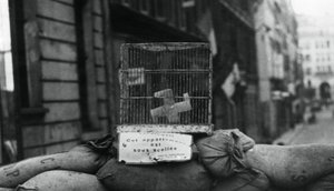 حاجز في شارع دي شاتودون ، تحرير باريس ، أغسطس 1944 بواسطة غير معروف
