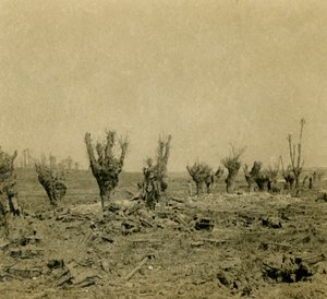ساحة المعركة ، موريباس ، شمال فرنسا ، c1914-c1918 بواسطة غير معروف