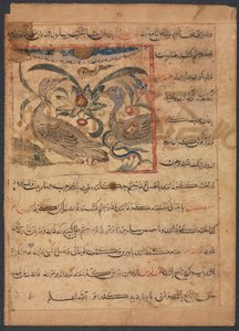 فوائد أجزاء النسور ... ظهر ، أواخر القرن الثاني عشر. بواسطة غير معروف