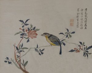 طائر على غصن مزهر ، القرن التاسع عشر. بواسطة غير معروف