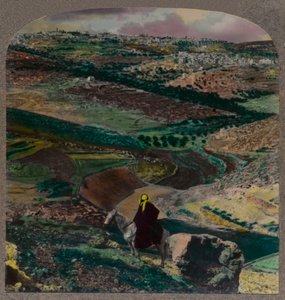 منظر طيور عين بيت لحم ، بمزارع الكروم وبساتين الزيتون ، c1900 بواسطة غير معروف