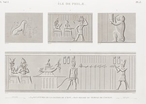 الكتاب: وصف مصر بواسطة غير معروف