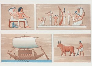 الكتاب: وصف مصر بواسطة غير معروف