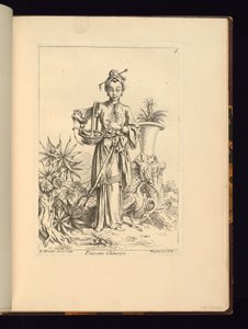 عالم النبات الصيني بواسطة غير معروف