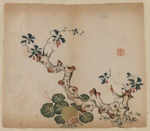 جدعة متفرعة ، 1368-1644. بواسطة غير معروف