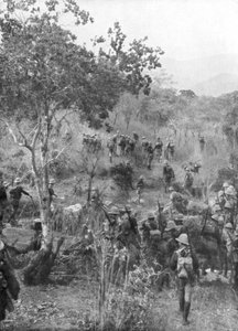 القوات البريطانية في الأدغال على حدود شرق أفريقيا الألمانية ، الحرب العالمية الأولى ، 1915 بواسطة غير معروف