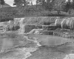 نوابض الكبريت براون ، حديقة يلوستون الوطنية ، الولايات المتحدة الأمريكية ، c1900. بواسطة غير معروف