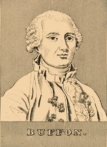 بوفون ، 1707-1788 ، 1830. بواسطة غير معروف
