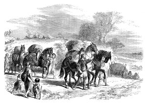 حمل الخبز إلى لندن على الخيول ، c1895 بواسطة غير معروف