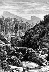سيلان سريلانكا ، 1895 بواسطة غير معروف