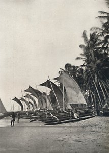 قوارب الصيد البحري السيلاني مع مداد ، 1926 بواسطة غير معروف