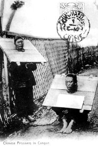 السجناء الصينيون في العلب ، 1910 بواسطة غير معروف