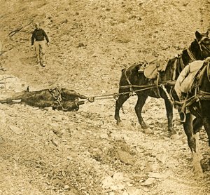 تطهير ساحة المعركة ، c1914-c1918 بواسطة غير معروف
