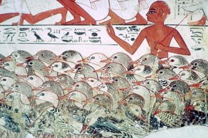 عد الأوز: جزء من لوحة جدارية من مقبرة نيب آمون ، طيبة ، مصر ، حوالي 1350 قبل الميلاد. بواسطة غير معروف