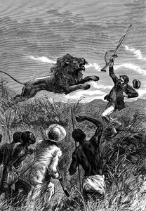 ديفيد ليفينغستون ، المبشر الاسكتلندي والمستكشف الأفريقي ، اتهمه أسد ، c1860 بواسطة غير معروف