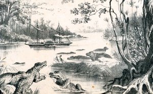 ديفيد ليفينغستون يتنقل في زامبيزي ، إفريقيا ، 1852-1864 c1878 بواسطة غير معروف