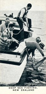 الصيد في أعماق البحار ، نيوزيلندا ، 1927 1937 بواسطة غير معروف