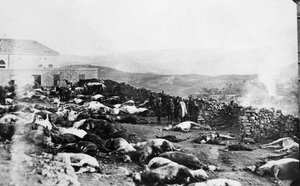 الدفاع عن قلعة راشيا ، التمرد الدرزي ، جبل الدروز ، سوريا ، 1925 بواسطة غير معروف